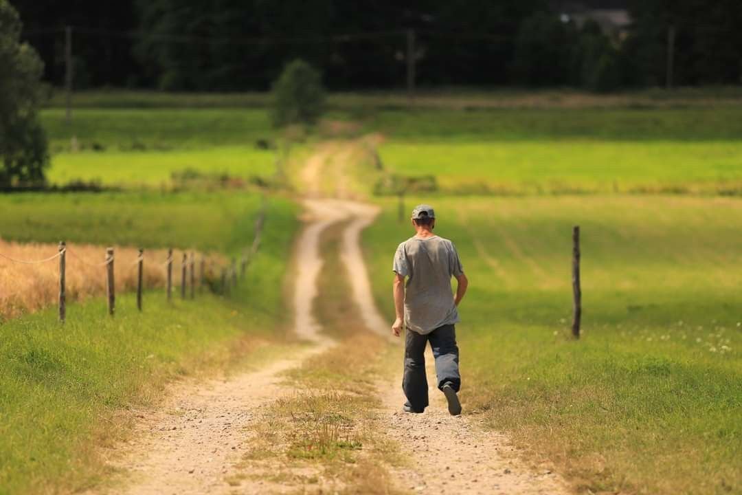 A man walking away along a dirt track through green fields