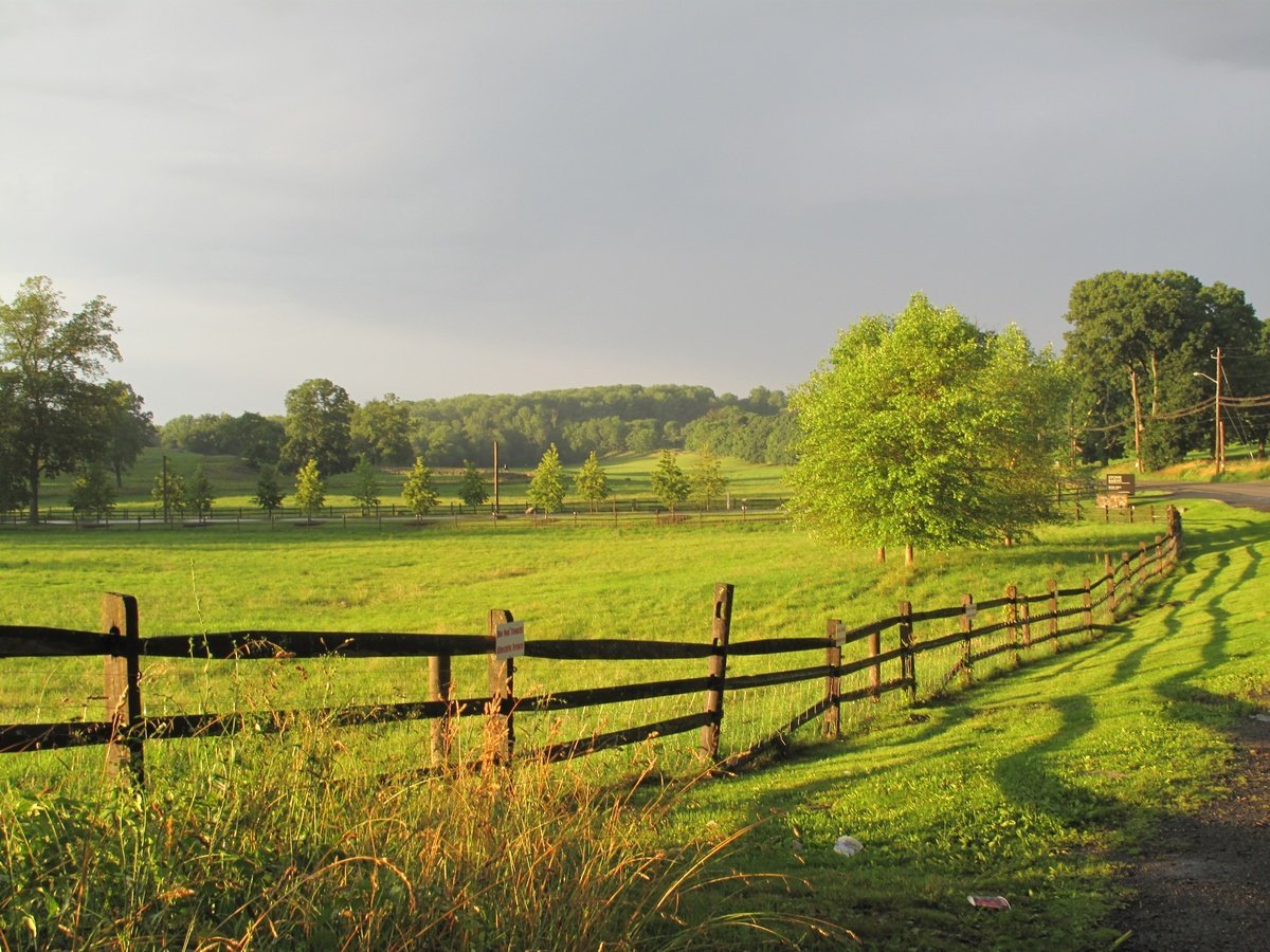 A wooden fence running alongside a green field in warm evening light