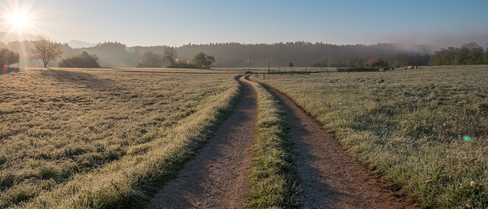 A quiet path through open countryside